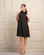 Clara Flare Dress