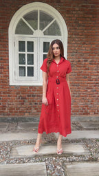Emlia Sleek Dress