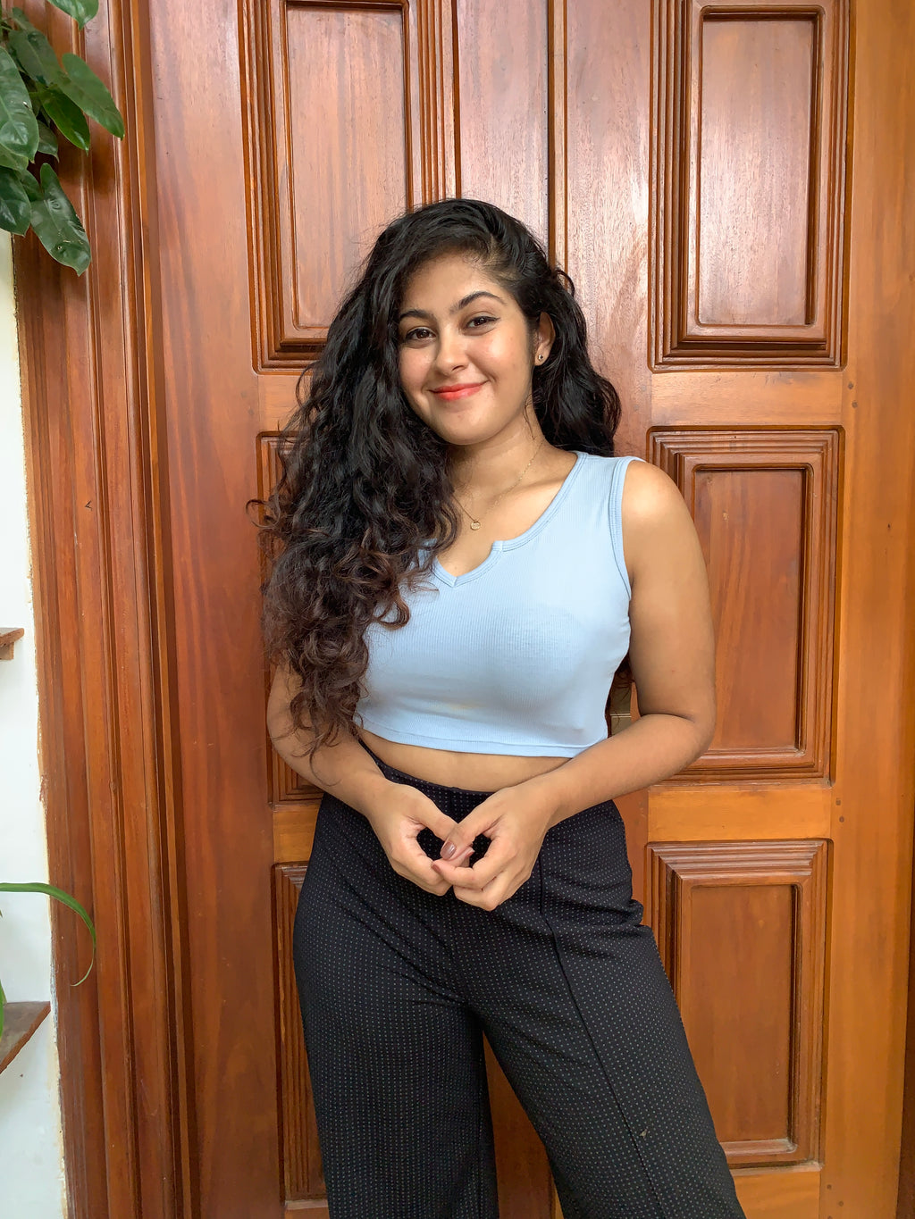 V Neck Basic Crop Top