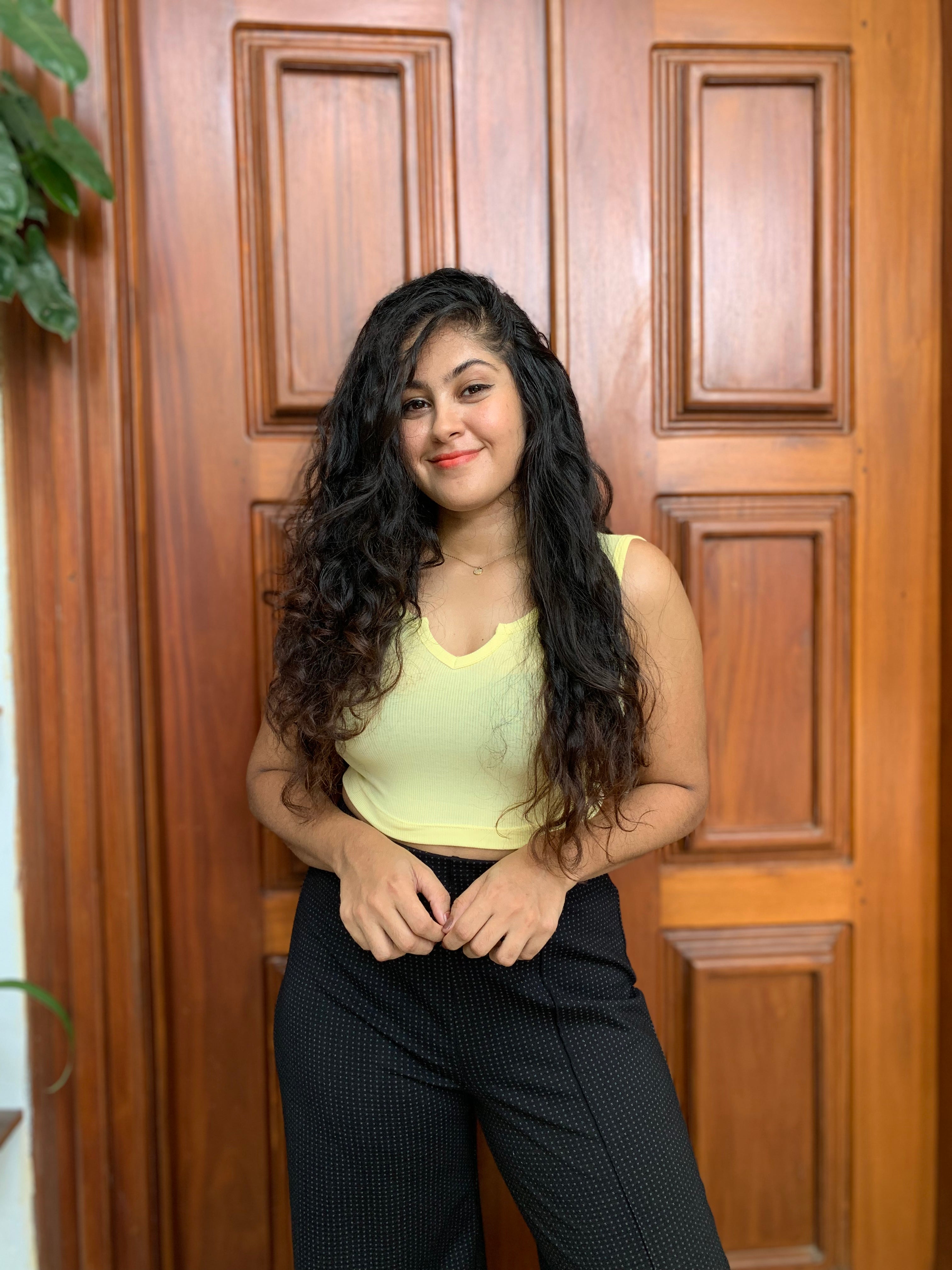 V Neck Basic Crop Top